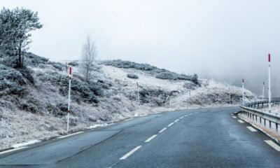 Snow Road