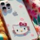 Hello Kitty Case