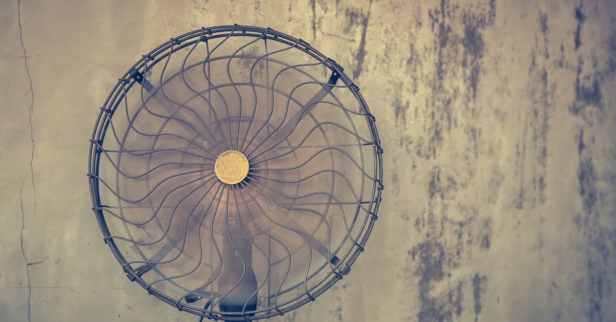 The Power of a Socket Fan