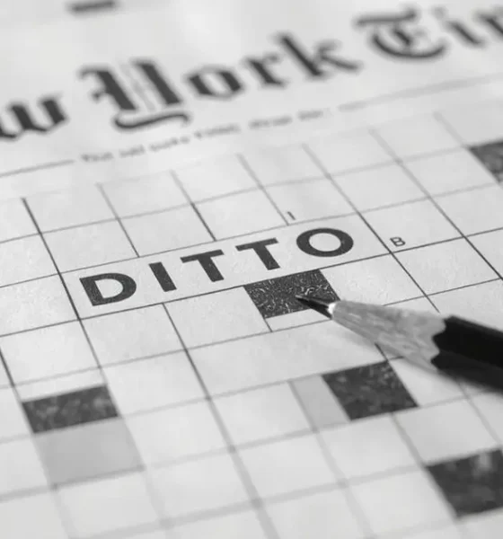 ditto nyt crossword