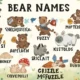 funny bear names