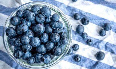 Are Blueberries Good for Dogs