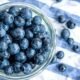 Are Blueberries Good for Dogs
