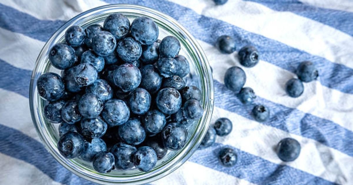 Are Blueberries Good for Dogs