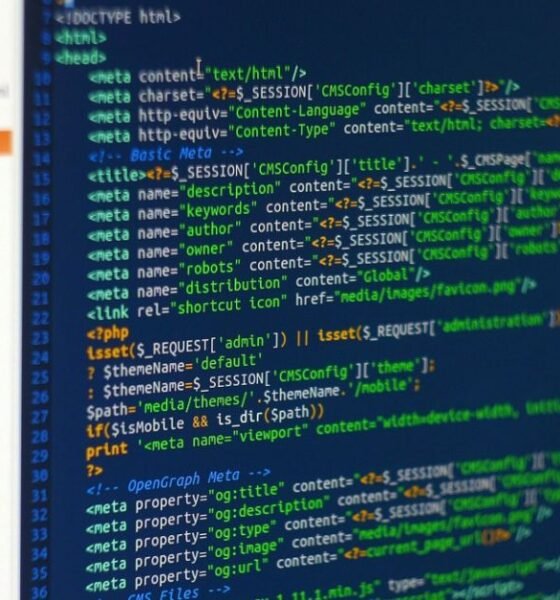 Resize Linux Disk Partitions