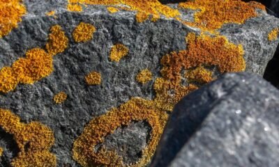 imagesize:地藏王菩薩