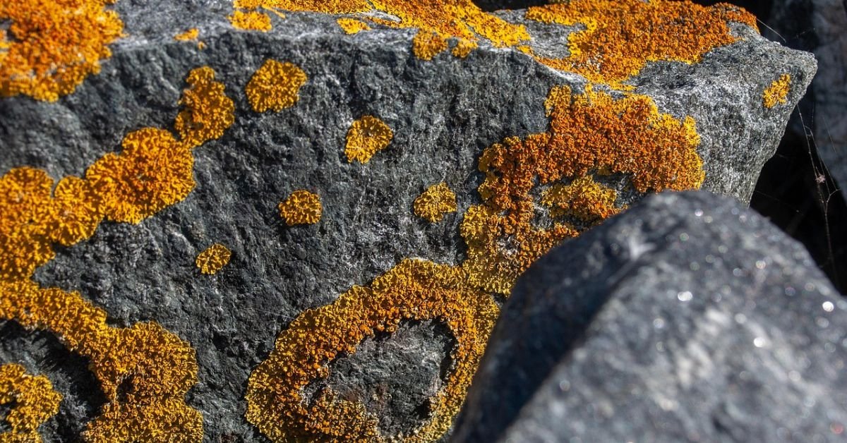 imagesize:地藏王菩薩